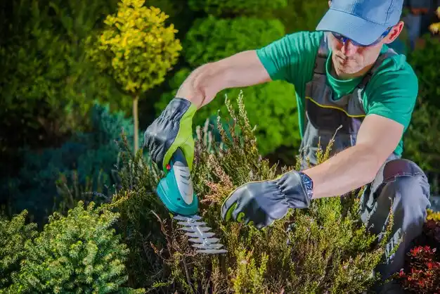landscaping services Presque Isle Harbor